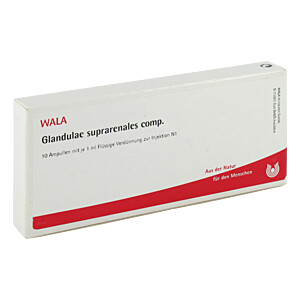 GLANDULAE SUPRARENALES comp.Ampullen