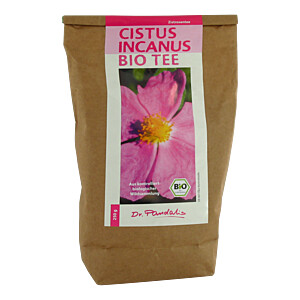 CISTUS INCANUS Bio Tee