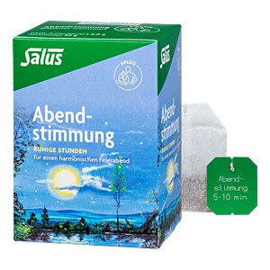 ABENDSTIMMUNG Kräutertee Salus Filterbeutel