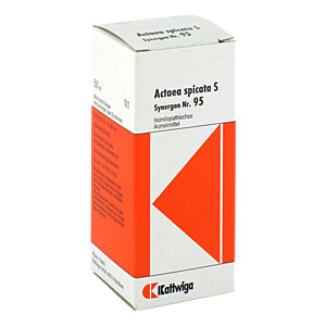 SYNERGON KOMPLEX 95 Actaea spicata S Tropfen