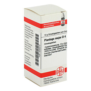 PLANTAGO MAJOR D 4 Globuli