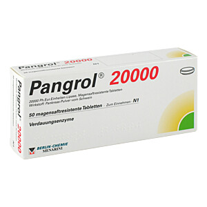 PANGROL 20.000 magensaftresistente Tabletten