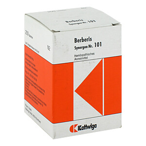 SYNERGON KOMPLEX 101 Berberis Tabletten