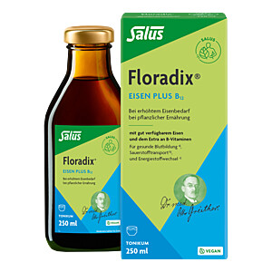 FLORADIX Eisen plus B12 vegan Tonikum
