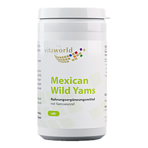 YAMS 500 mg Kapseln