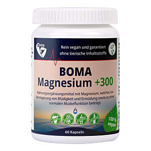 MAGNESIUM+300 Kapseln