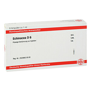 ECHINACEA D 6 Ampullen