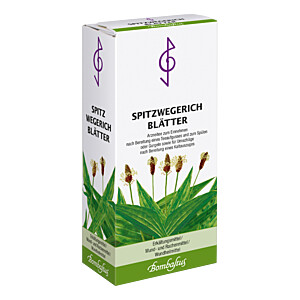 SPITZWEGERICHBLÄTTER Tee