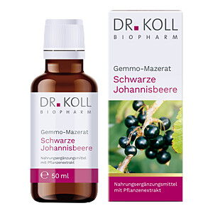 GEMMO Mazerat schwarze Johannisbeere Dr.Koll Ribes