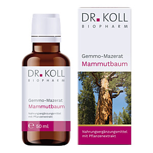 GEMMO Mazerat Mammutbaum Dr.Koll Sequoia gigantea