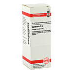 CANTHARIS D 6 Dilution