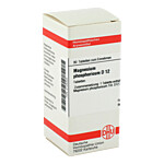 MAGNESIUM PHOSPHORICUM D 12 Tabletten