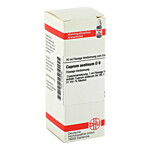 CUPRUM ACETICUM D 6 Dilution