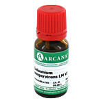 GELSEMIUM SEMPERVIRENS LM 6 Dilution