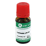 LACHESIS LM 6 Dilution