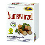 YAMSWURZEL KAPSELN