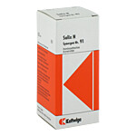 SYNERGON KOMPLEX 91 Salix N Tropfen