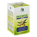 INGWER 500 mg Kapseln+Vitamin B1+C