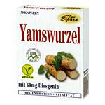 YAMSWURZEL KAPSELN