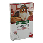 ADVANTAGE 250 Lösung für Hunde 10-25 kg