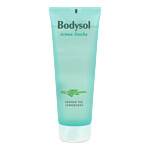 BODYSOL Aroma Duschgel grüner Tee Lemongras