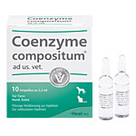 COENZYME COMPOSITUM ad us.veterinärAmpullen